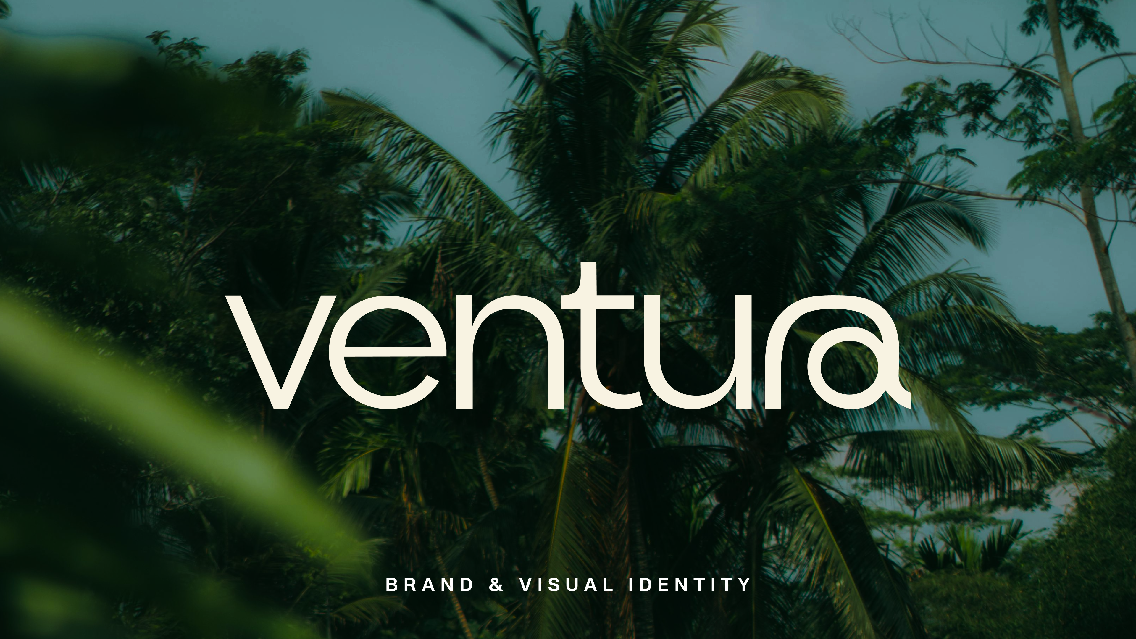 Ventrua Case Study