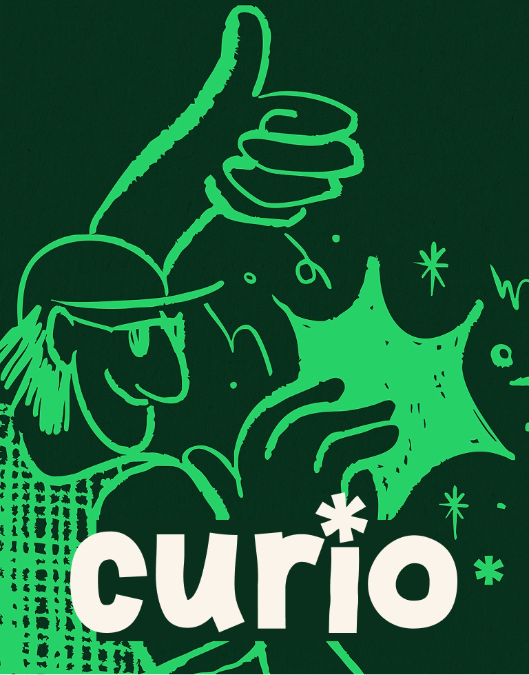 Curio Case Study